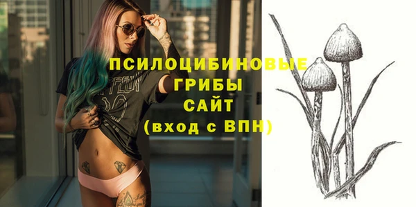 не бодяженный Инсар