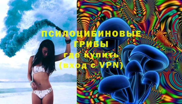 не бодяженный Инсар