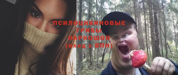 не бодяженный Инсар