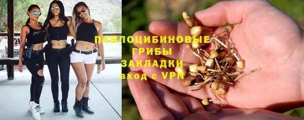скорость Инта